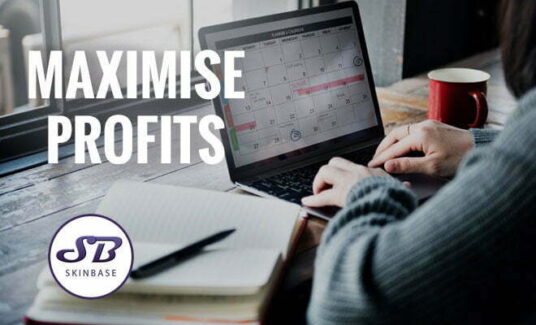 maximise profits